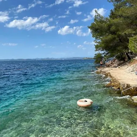 Adriatic Nest * サリ