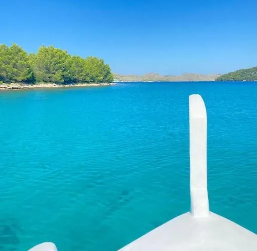 Adriatic Nest